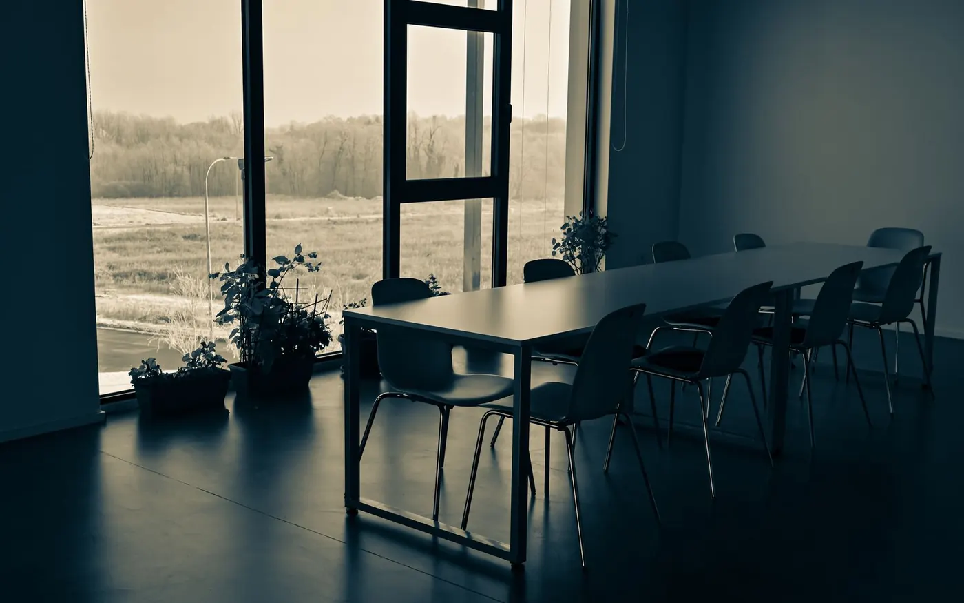 Mesa de reuniones vacía junto a un gran ventanal, con plantas y luz de invierno